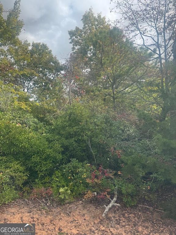 LOT 16 Brown Hawk Drive, Clayton, GA 30525 — photo 3