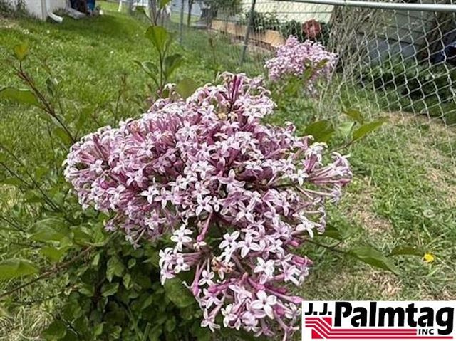 428 N Franklin, Wilber, NE 68465