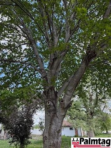 428 N Franklin, Wilber, NE 68465