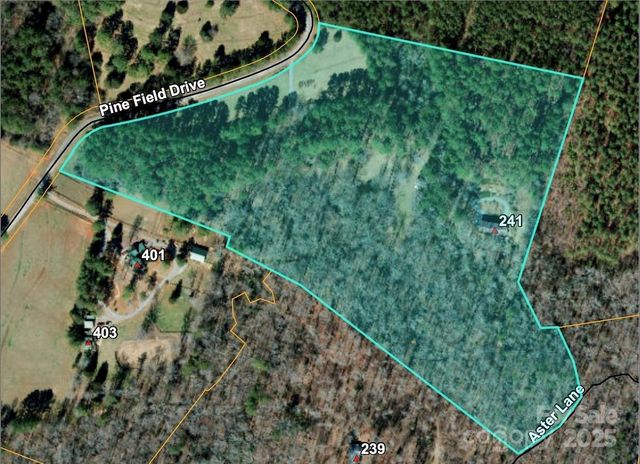 241 Pine Field Drive, Tryon, NC 28782