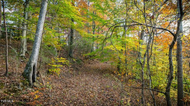 7084 Lone Star Road 2, Kingsport, TN 37660