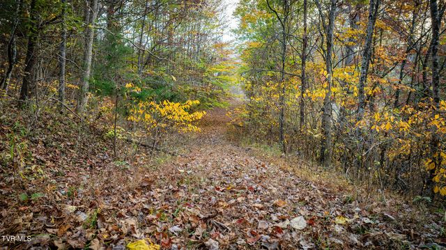 7084 Lone Star Road 2, Kingsport, TN 37660