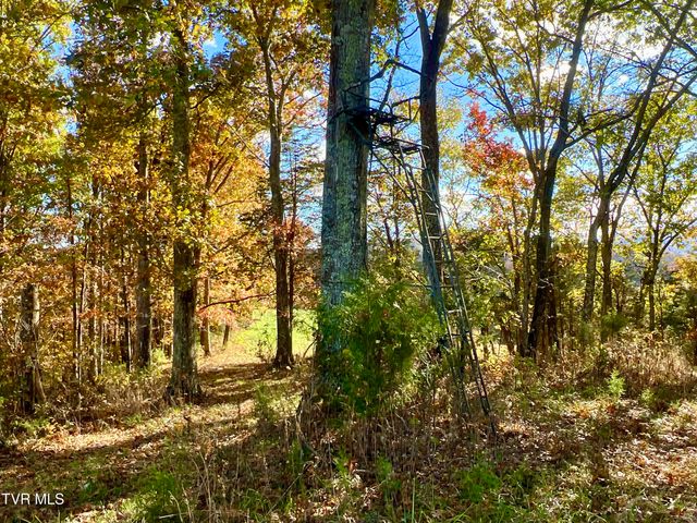 7084 Lone Star Road 2, Kingsport, TN 37660