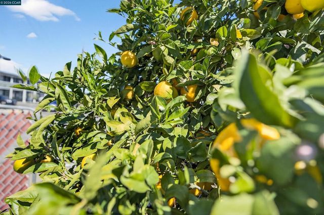 2138 Market Ave, San Pablo, CA 94806