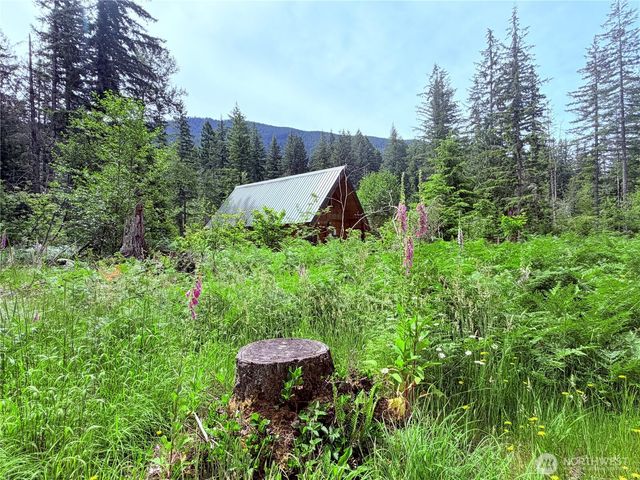 277 Skate Creek Road N, Ashford, WA 98304