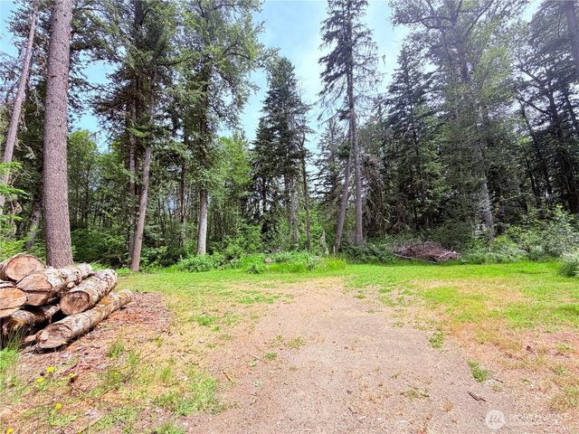 277 Skate Creek Road N, Ashford, WA 98304