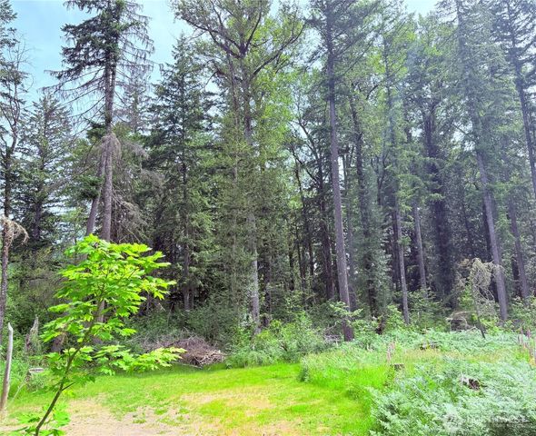 277 Skate Creek Road N, Ashford, WA 98304