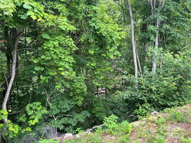 988 N Fork Road, Barnardsville, NC 28709