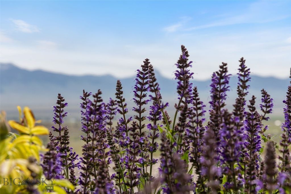 95 Foothill Trl, Ennis, MT 59729 photo 72