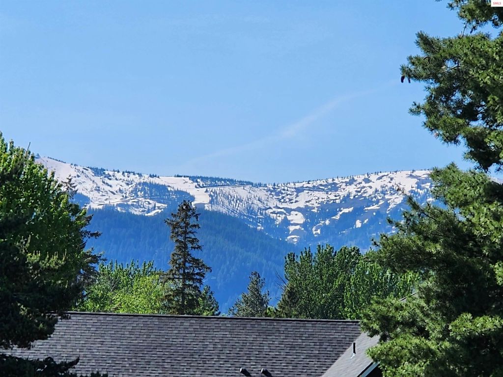 95 Nancy Road, Sandpoint, ID 83864 photo 4