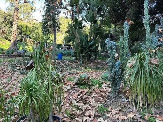 1295 Loma Vista, Pomona, CA 91768