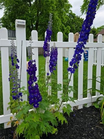 170 Elmgrove Road, Greece, NY 14626