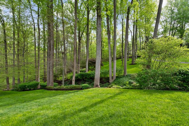 9120 MINE RUN DR, Great Falls, VA 22066