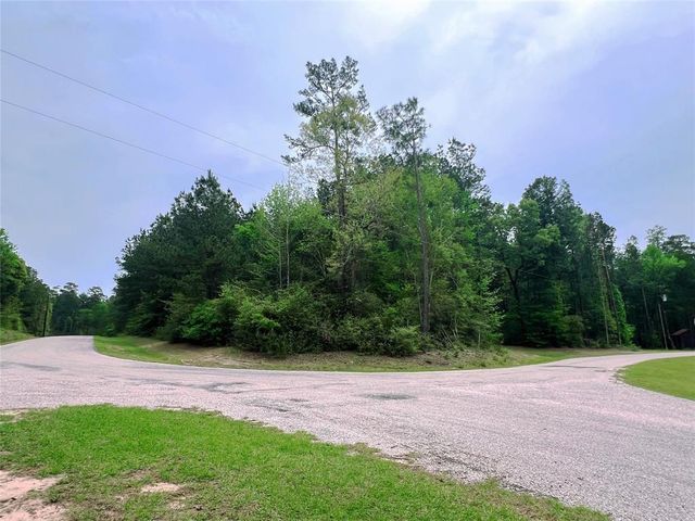 1-2-33 Dedication Trail, Huntsville, TX 77340