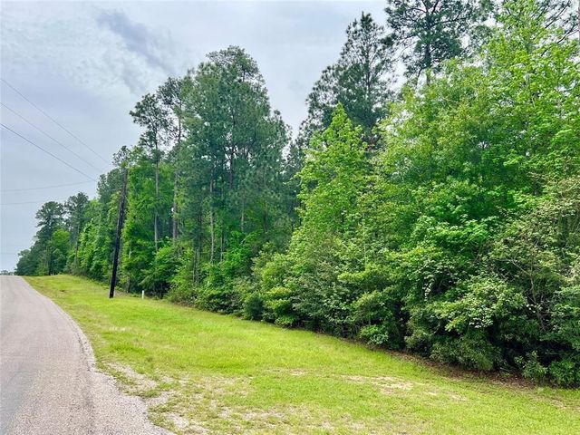 1-2-33 Dedication Trail, Huntsville, TX 77340