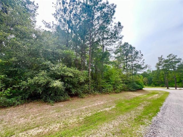 1-2-33 Dedication Trail, Huntsville, TX 77340