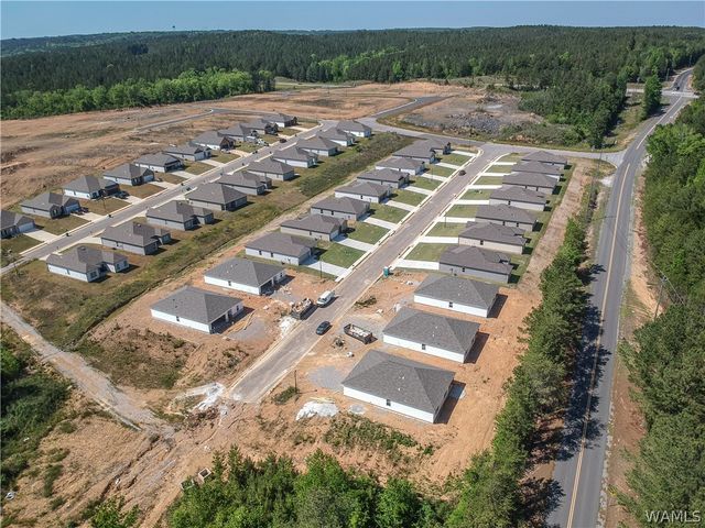 10336 Squires, Vance, AL 35490