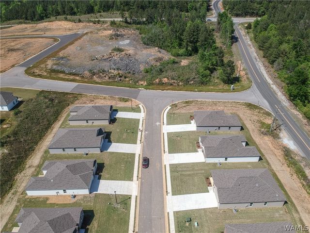 10336 Squires, Vance, AL 35490