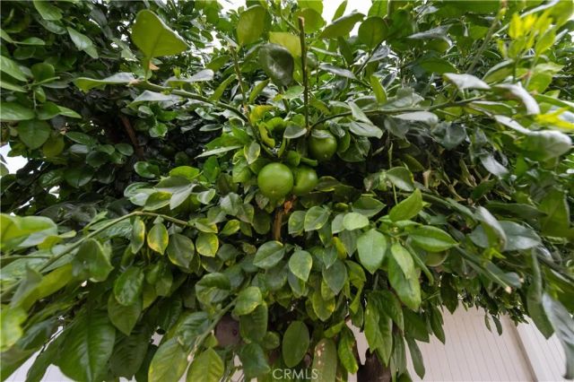 27439 Terrytown, Menifee, CA 92586