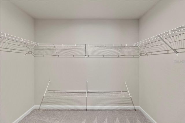 5977 PAINTED LEAF DRIVE, Winter Garden, FL 34787