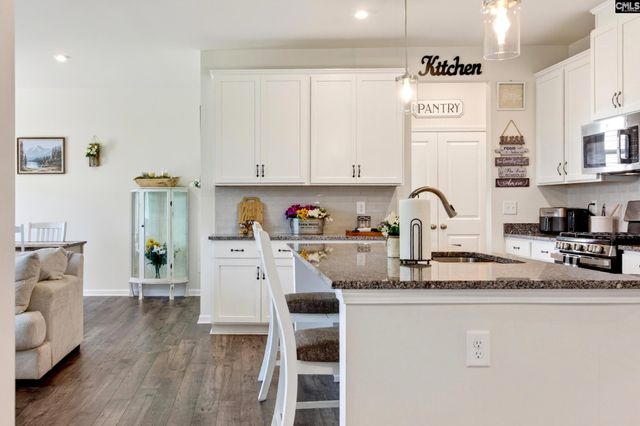 911 Gold Ventura Court, Lexington, SC 29072