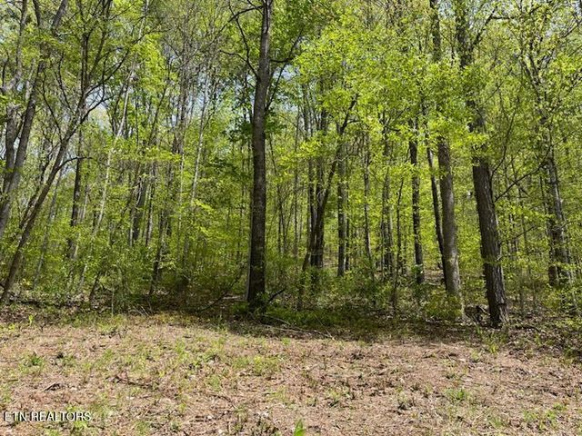 Lot 1 Cabin Rd, Speedwell, TN 37870