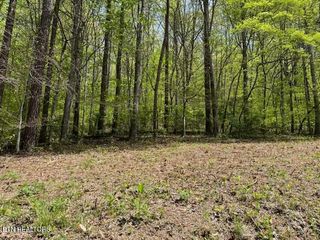 Lot 1 Cabin Rd, Speedwell, TN 37870