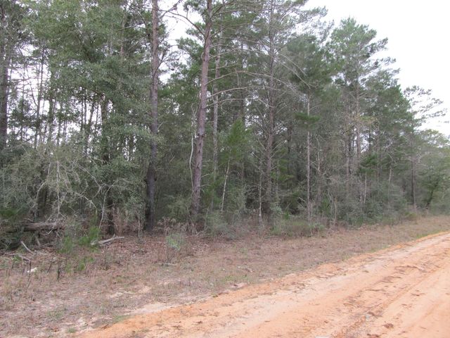 Lot 6 Jonquil West Avenue, Defuniak Springs, FL 32433
