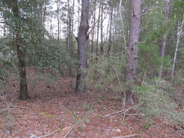 Lot 6 Jonquil West Avenue, Defuniak Springs, FL 32433
