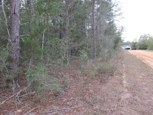 Lot 6 Jonquil West Avenue, Defuniak Springs, FL 32433