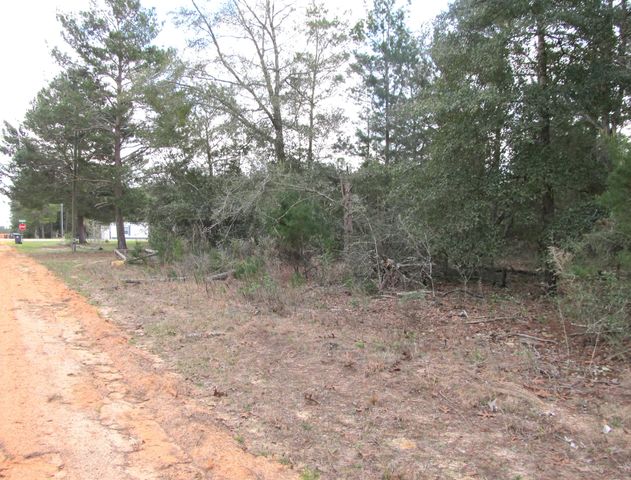 Lot 6 Jonquil West Avenue, Defuniak Springs, FL 32433