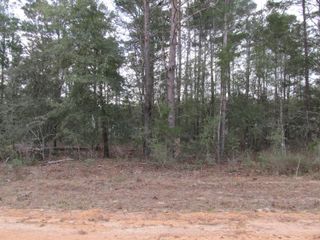 Lot 6 Jonquil West Avenue, Defuniak Springs, FL 32433