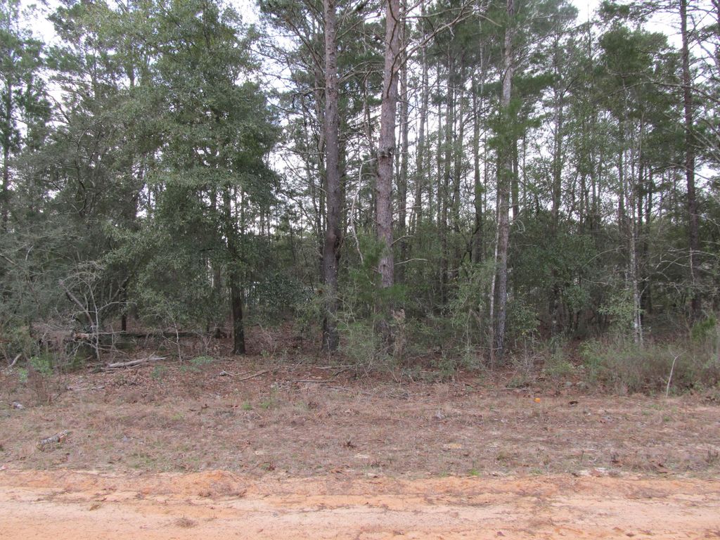 Lot 6 Jonquil West Avenue, Defuniak Springs, FL 32433