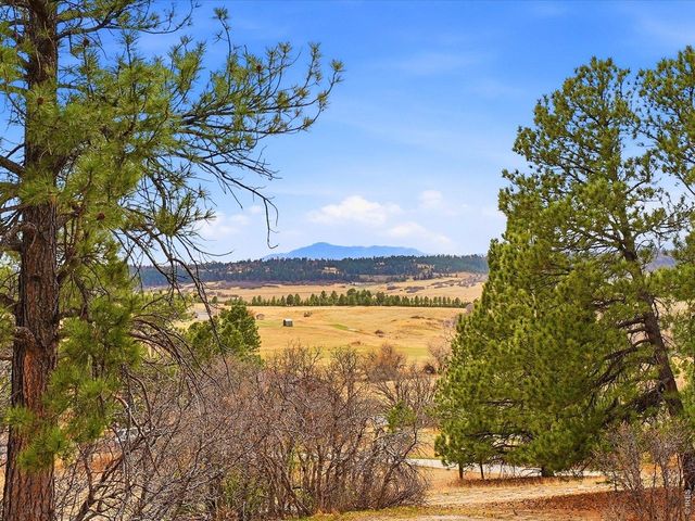 8987 Village Pines Cir, Franktown, CO 80116