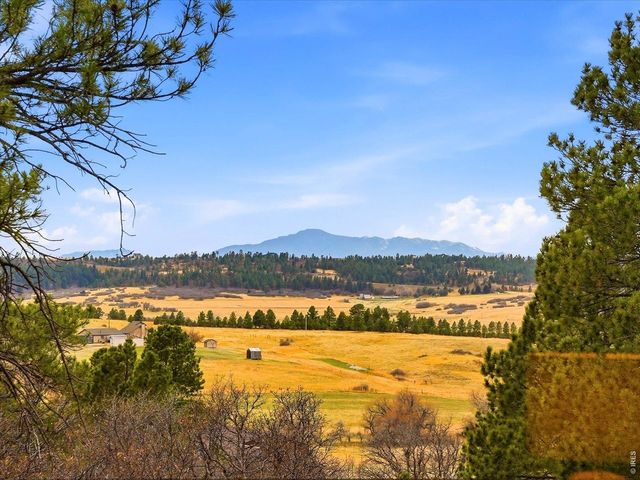 8987 Village Pines Cir, Franktown, CO 80116