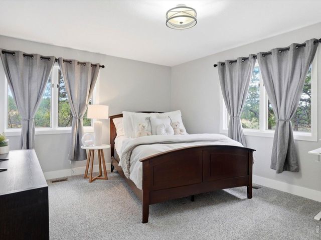 8987 Village Pines Cir, Franktown, CO 80116