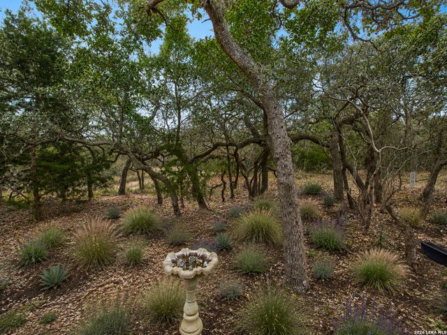 3051 BLENHEIM PARK, Bulverde, TX 78163
