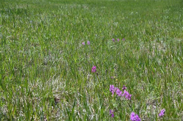 30523 Mountain View Trail, Kiowa, CO 80117