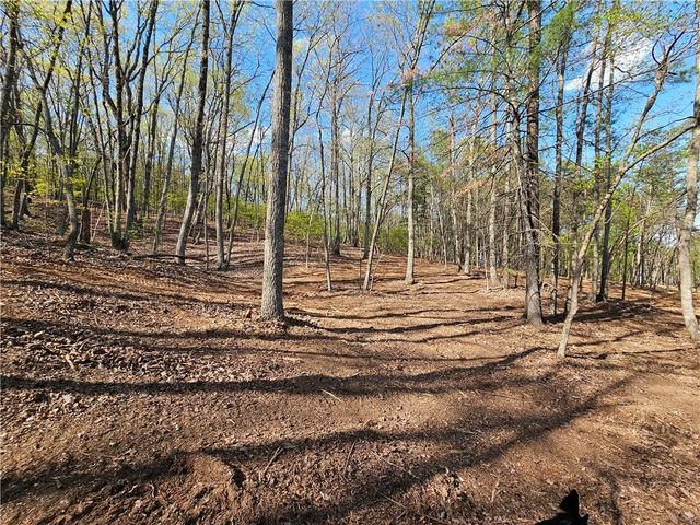 000 Old Federal Road, Dawsonville, GA 30534