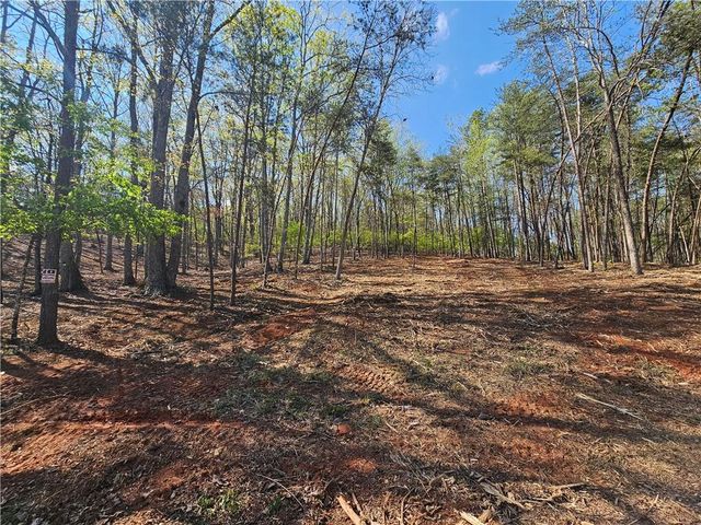 000 Old Federal Road, Dawsonville, GA 30534