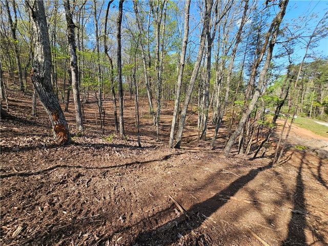 000 Old Federal Road, Dawsonville, GA 30534