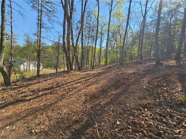 000 Old Federal Road, Dawsonville, GA 30534