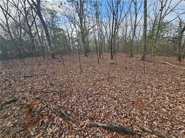 000 Old Federal Road, Dawsonville, GA 30534