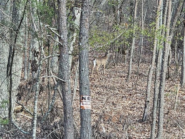 000 Old Federal Road, Dawsonville, GA 30534