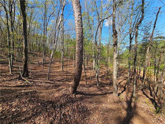 000 Old Federal Road, Dawsonville, GA 30534