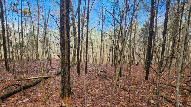 0 Crockett Point Lot 561, Jasper, TN 37347