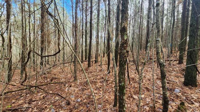 0 Crockett Point Lot 561, Jasper, TN 37347