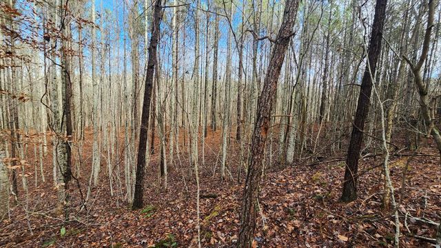 0 Crockett Point Lot 561, Jasper, TN 37347