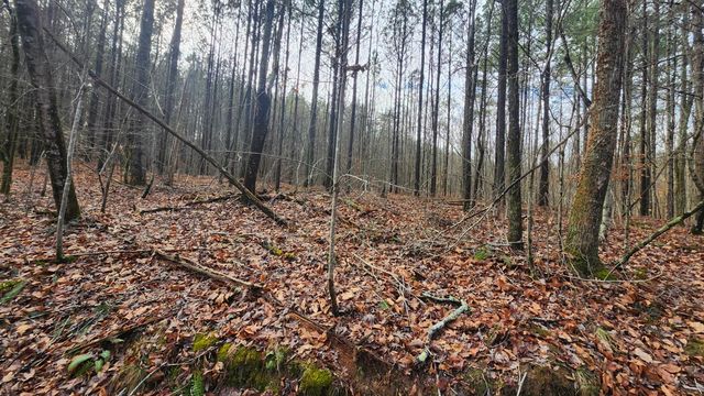 0 Crockett Point Lot 561, Jasper, TN 37347