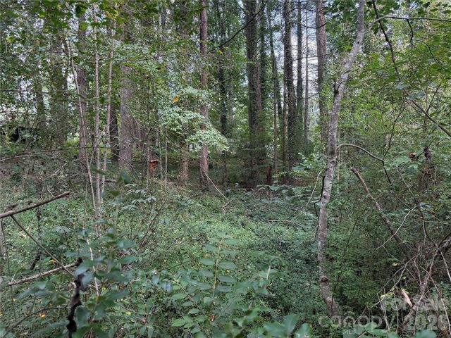 Off Meadowbrook Circle, Brevard, NC 28712